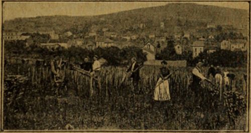 Foto avots: Internet Archive Book Images / Flickr
