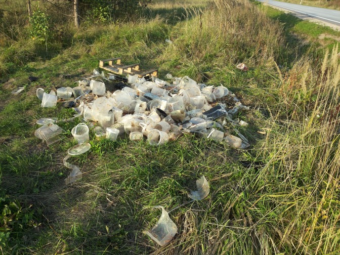 Aculiecinieka foto
