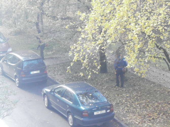 Aculiecinieka foto