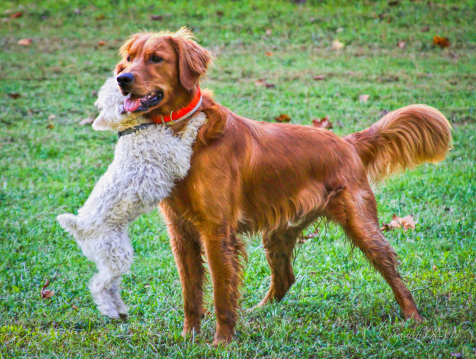 Foto:G Fisher, Flick.com