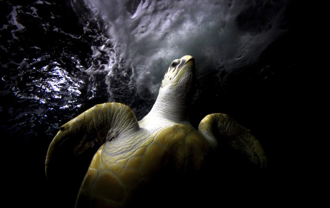 Foto: Reuters/ Scanpix