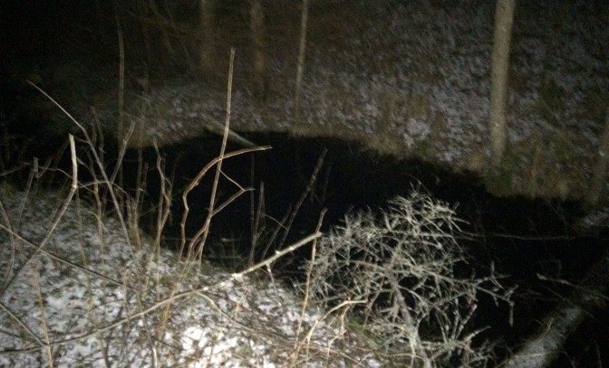 Aculiecinieka foto