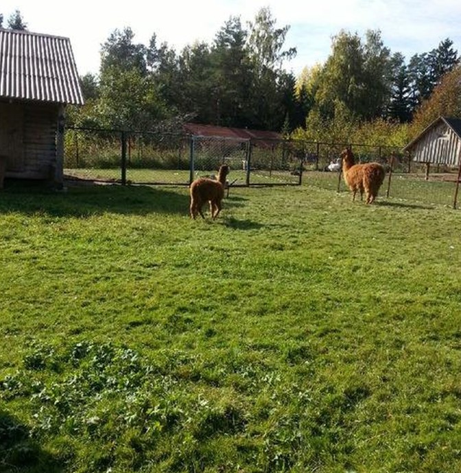 Foto: ekrānšāviņš