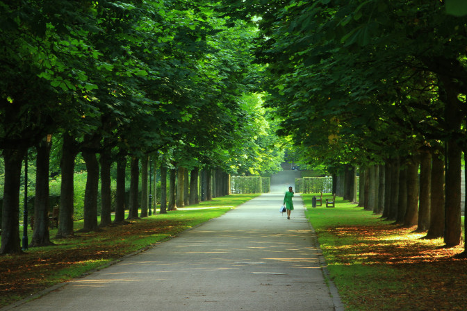 Foto: Stefan Lehmann/Pixabay