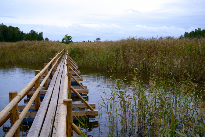 Kaņiera dabas taka. Foto: Kārlis Dambrāns, Flickr