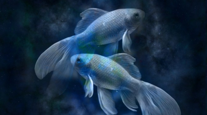 Foto: geralt, Pixabay.com
