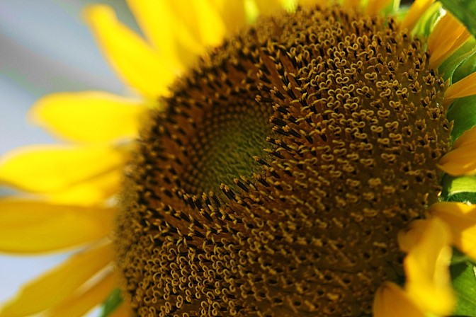 Foto:  Wendy/Flickr