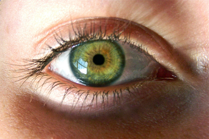 Foto: MarisaAnn94/Flickr 