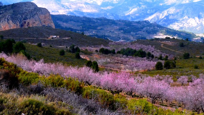 Foto:  Les Haines/Flickr
