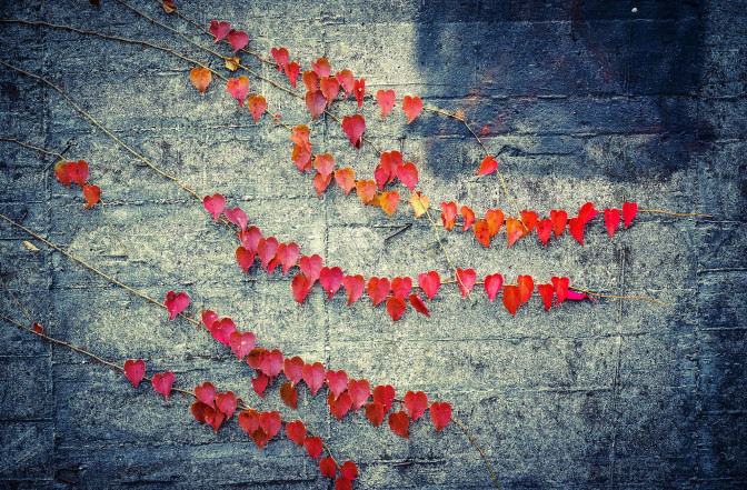 Foto: Luke Ma, Flickr