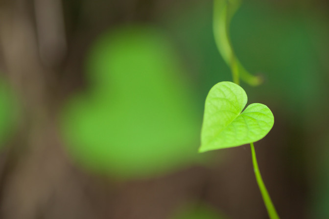 Foto: Vinoth Chandar, Flickr