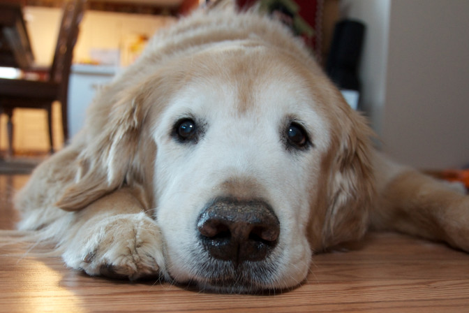FOTO: Flickr