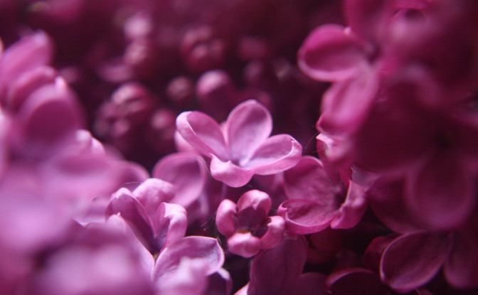 Foto: Martin Fisch, Flickr