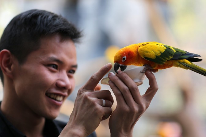 Foto: AFP/LETA