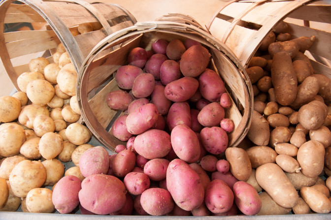 Foto: United soybean Board, Flickr