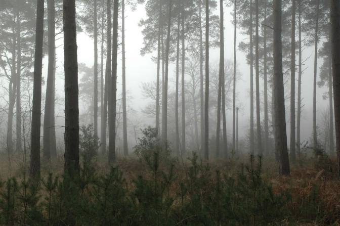 Foto: Paul Friel, Flickr