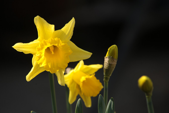 Foto: Flickr