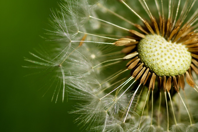 Foto: Flickr