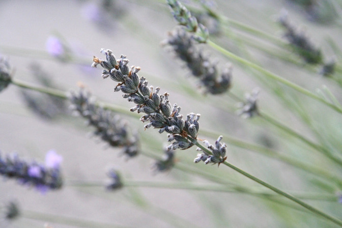 Foto: Photography-S!, Flickr