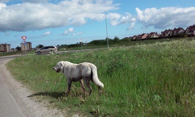 Foto avots: Facebook