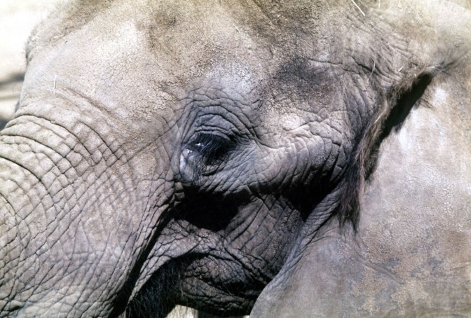 Foto: Flickr