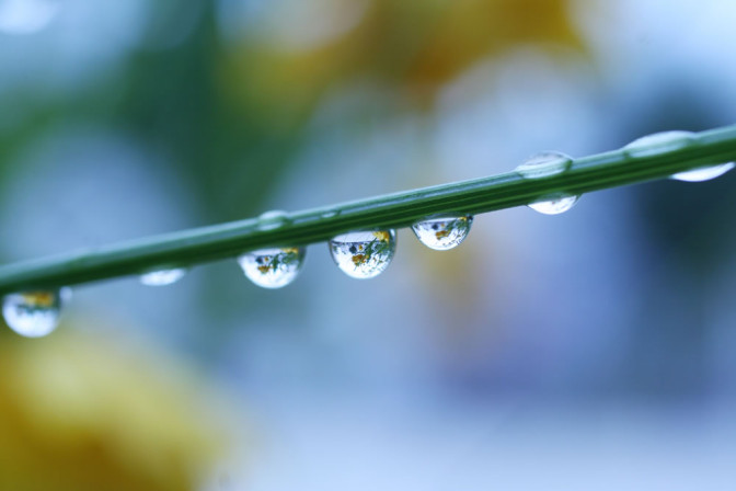 Foto avots: Flickr