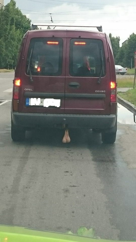 Aculiecinieka foto