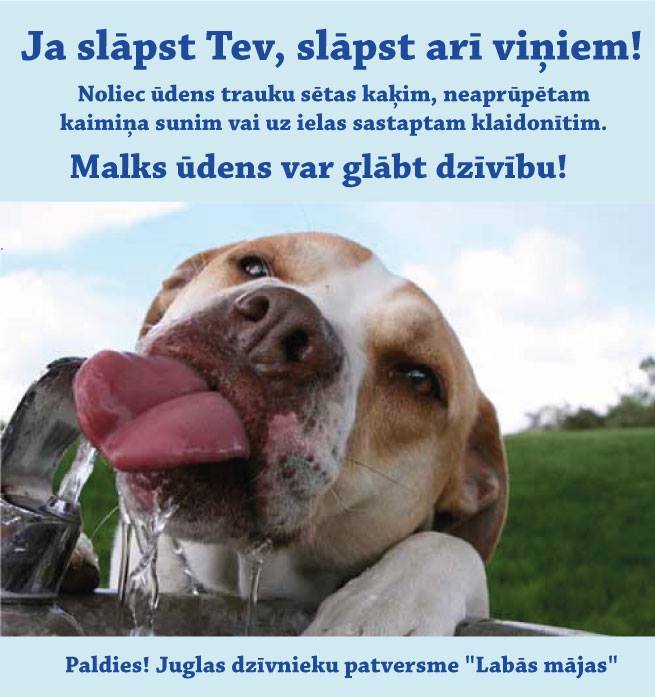 Foto avots: facebook.com/patversme
