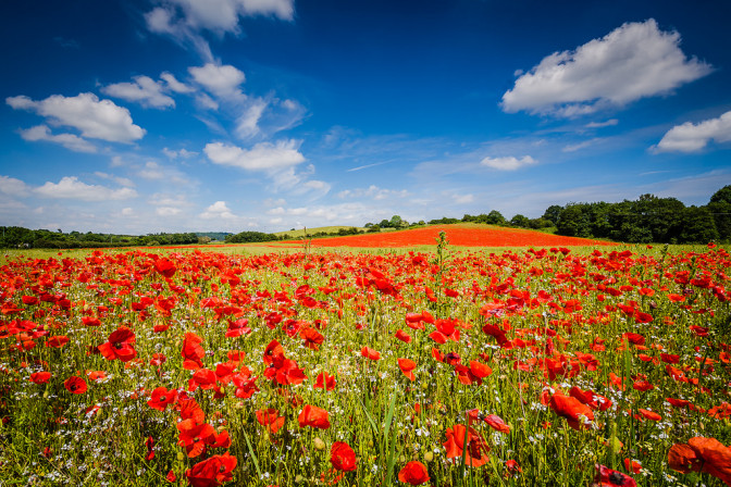 Foto: Flickr