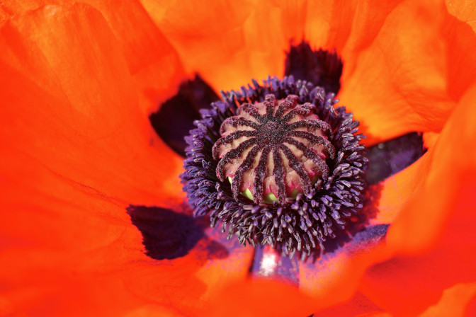 Foto: Flickr