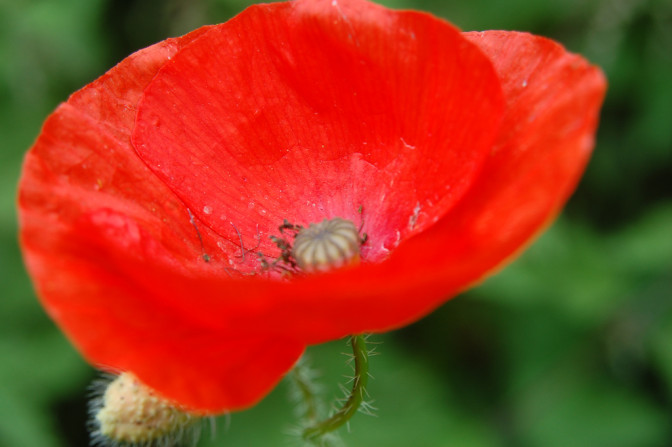 Foto: Flickr