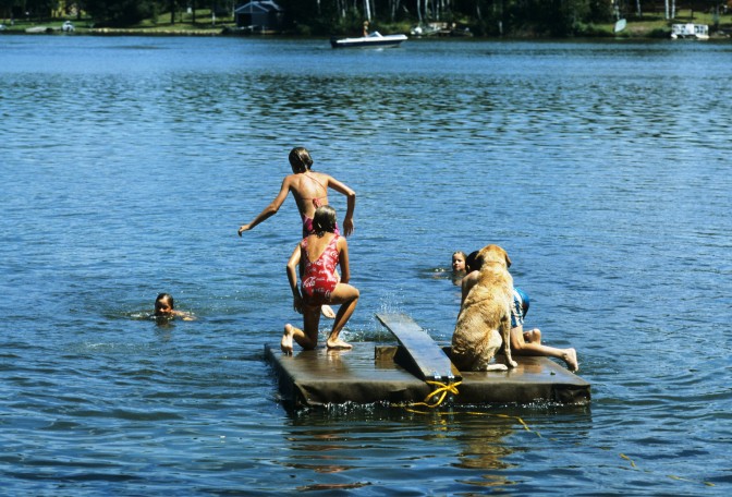 Foto: Flickr.com / Wisconsin Department of Natural Resources 