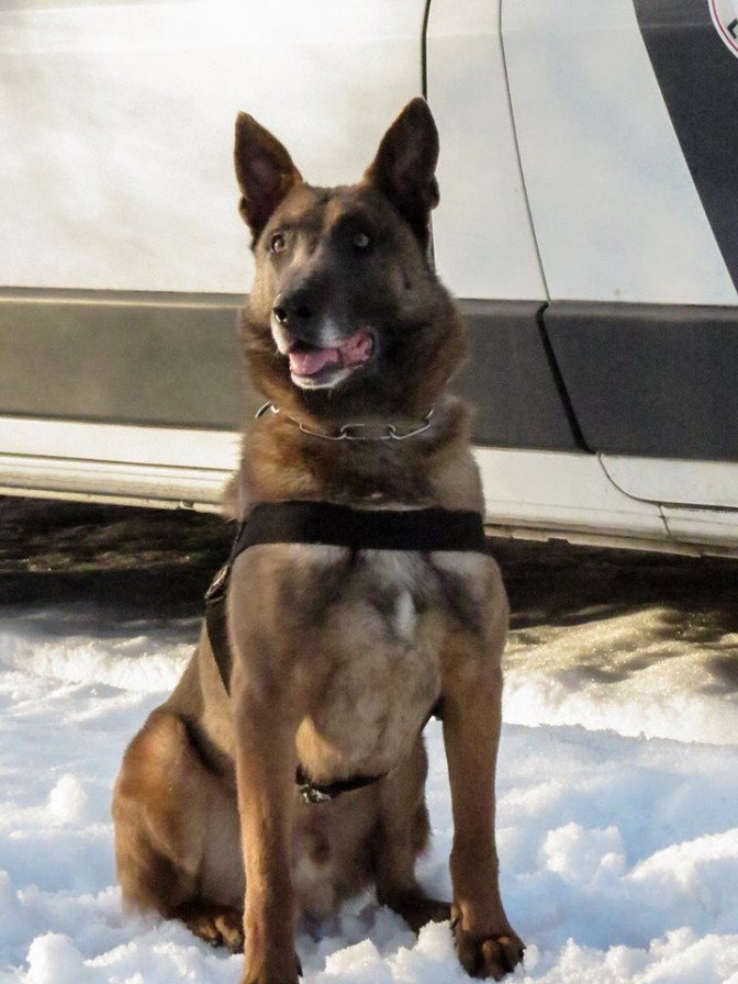 Foto: Valsts policija