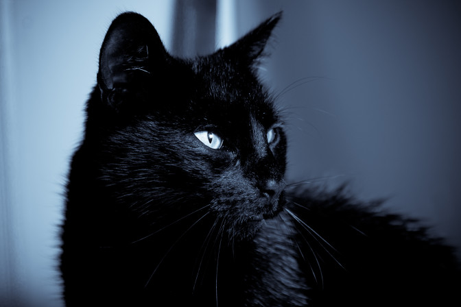 FOTO: s.penninga, Flickr.com