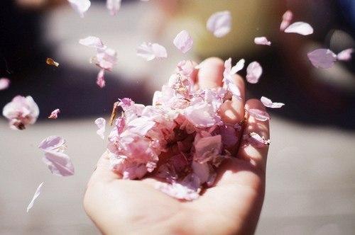 FOTO: Flickr.com