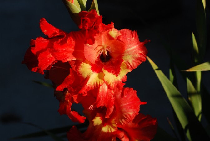 FOTO: Flickr.com