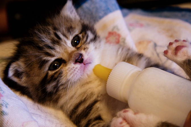 Foto: Flickr.com