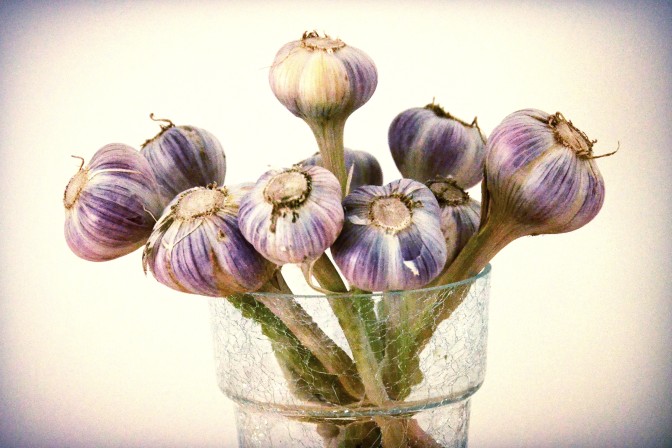 Foto: Flickr.com