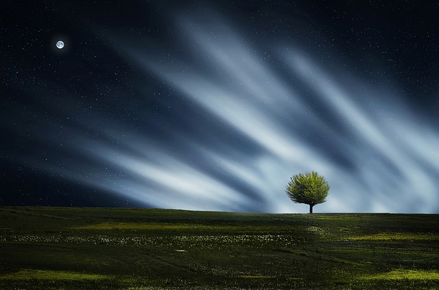 Foto: Pixabay