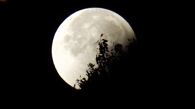Foto: Pixabay