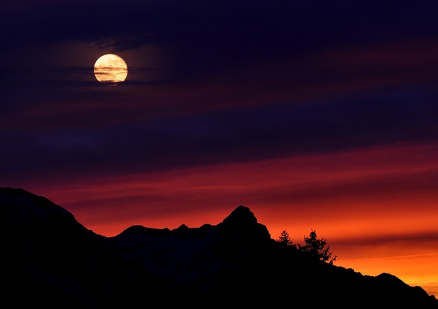 Foto: Pixabay