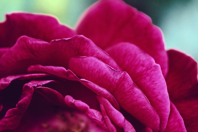 Foto: Pixabay