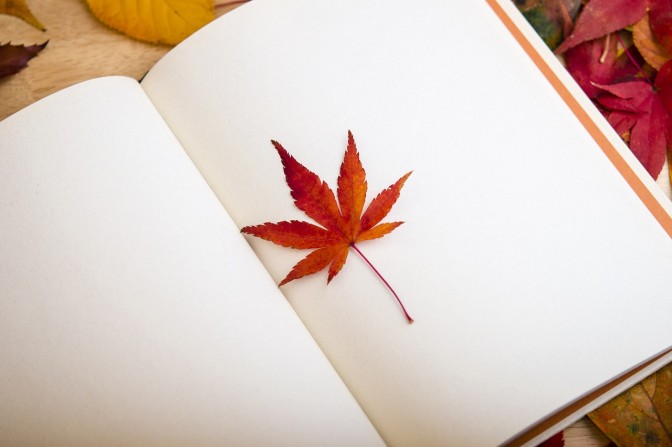 Foto: pixabay.com