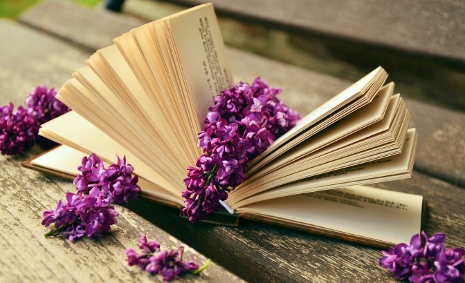Foto: pixabay.com