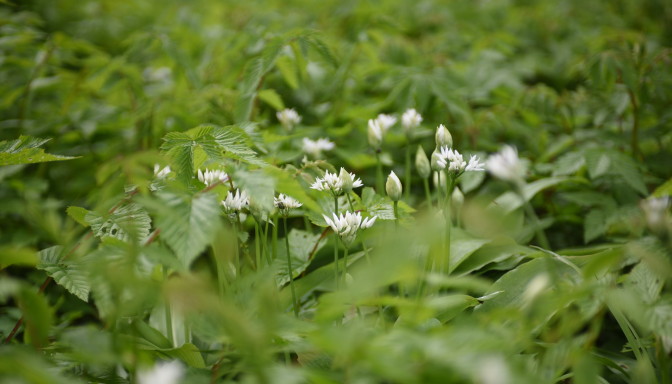 Foto: LETA/F64