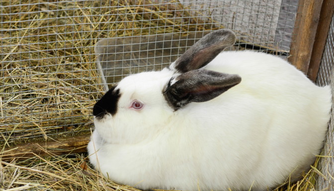 Foto: LETA/F64