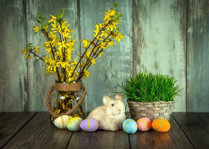 Foto: pixabay.com