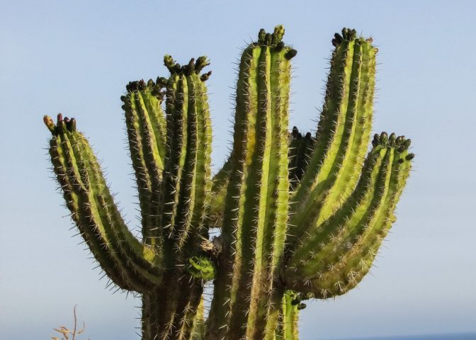 Foto: pixabay.com