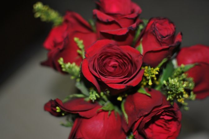 Foto: pixabay.com