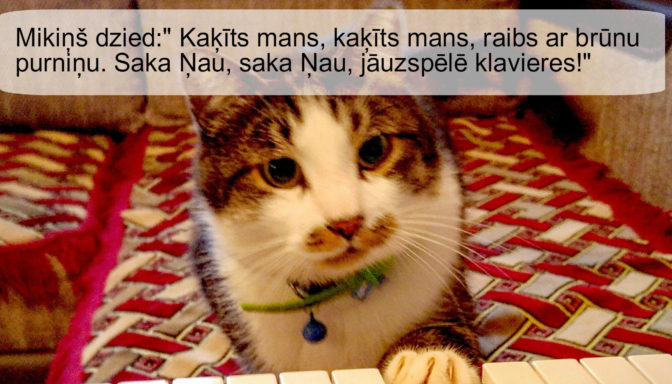 Foto: konkursa foto